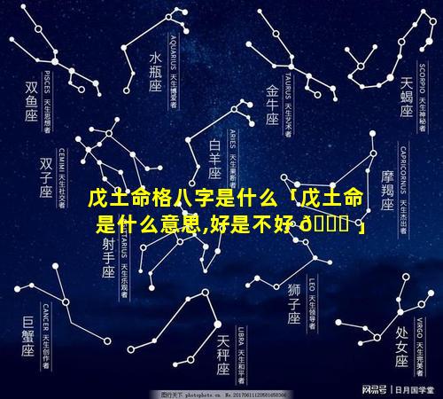 戊土命格八字是什么「戊土命是什么意思,好是不好 🐅 」